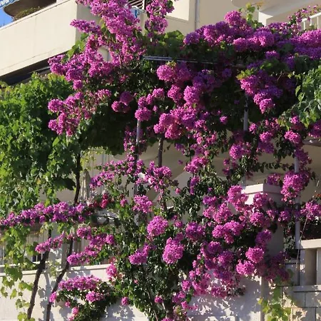 Apartments By The Sea Podgora, Makarska - 11432